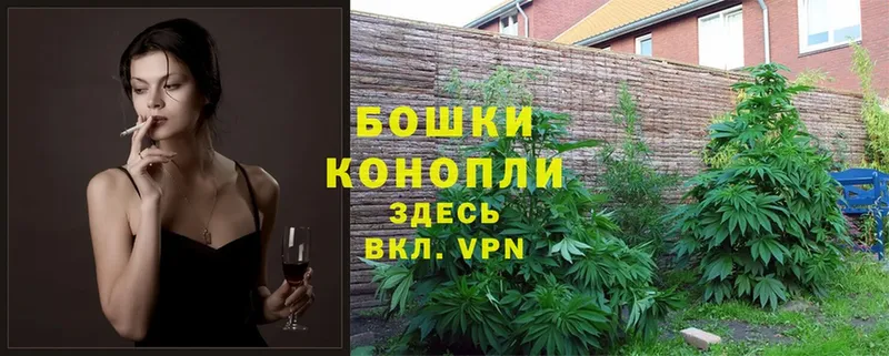 Конопля White Widow  Беломорск 